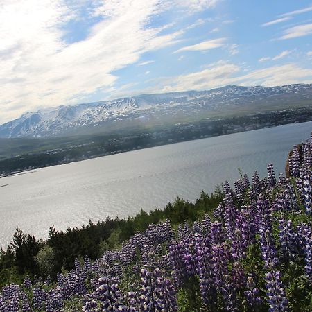 Viking Cottages And Apartments Akureyri Exterior photo